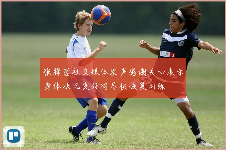 张稀哲社交媒体发声感谢关心表示身体状况良好将尽快恢复训练