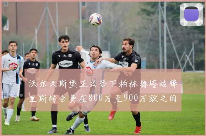 沃尔夫斯堡正式签下柏林赫塔边锋里斯转会费在800万至900万欧之间